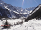 2010-11